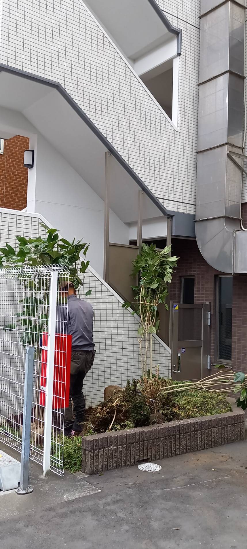 【施工実績】千葉市某マンション 植え込み工事 - 有限会社大野造園